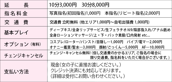 オプション料金表